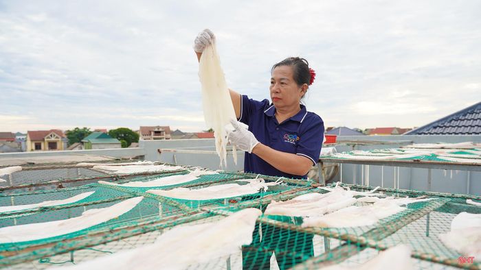 Sau đó, mực được đưa lên dàn phơi. Dàn phơi là những tấm lưới được bố trí cao ráo, thông thoáng để đón nắng và gió tự nhiên, giúp mực khô đều, giữ được độ săn.