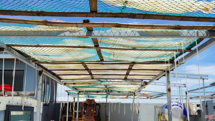 Chế biến mực một nắng chỉ diễn ra trong khoảng 3 tháng, từ tháng 4 đến tháng 7 hằng năm. Vì vậy, vào thời điểm này tôi tập trung thu mua nguyên liệu để kịp phục vụ sản xuất. Mỗi mùa, lượng mực thu mua từ ngư dân dao động khoảng 2 - 5 tấn, tùy theo sản lượng đánh bắt và điều kiện thời tiết.