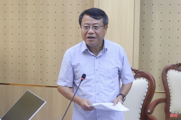 Phó Chủ tịch Thường trực HĐND tỉnh Dương Tất Thắng phát biểu tại buổi làm việc.