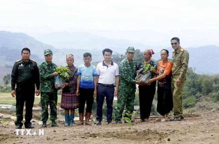 Trao tặng cây càphê giống cho nhân dân bản Móng Nặm, xã Móng Nặm, huyện Xiềng Khọ, tỉnh Hủa Phăn (Lào). (Ảnh: Quang Quyết/TTXVN)