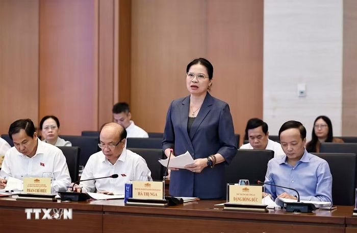 Phó Chủ tịch, Tổng Thư ký Ủy ban Trung ương Mặt trận Tổ quốc Việt Nam Hà Thị Nga phát biểu. (Ảnh: Doãn Tấn/TTXVN)