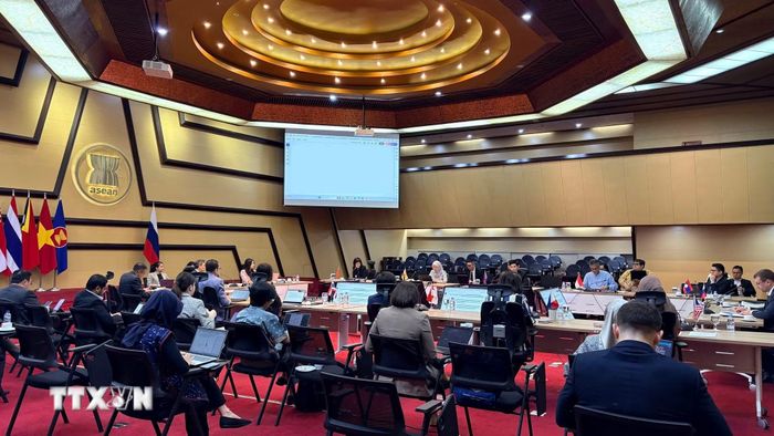 Quang cảnh cuộc họp lần thứ 24 Ủy ban Hợp tác chung cấp Đại sứ giữa ASEAN và Nga. (Ảnh: TTXVN phát)