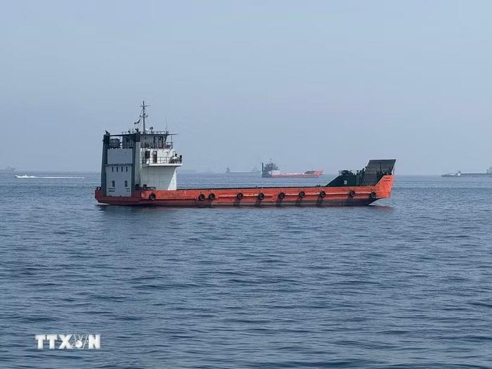 Tàu thương mại chờ đi qua eo biển Hormuz. (Ảnh: THX/TTXVN phát)