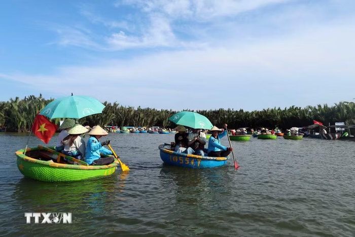 Du khách lênh đênh trên những chiếc thuyền thúng nhỏ khám phá làng dừa Cẩm Thanh, một trong 50 ngôi làng đẹp nhất thế giới năm 2025. (Ảnh: Đỗ Trưởng/TTXVN)