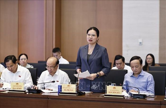 Phó Chủ tịch, Tổng Thư ký Ủy ban Trung ương Mặt trận Tổ quốc Việt Nam Hà Thị Nga phát biểu. Ảnh: Doãn Tấn/TTXVN