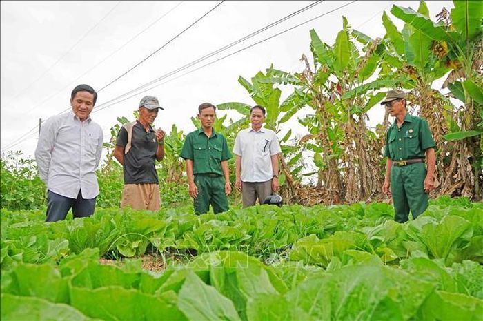 Mô hình trồng hoa màu của cựu chiến binh Hồ Thanh Hùng (thứ hai, từ trái sang) mang lại thu nhập từ 50-60 triệu đồng/năm.