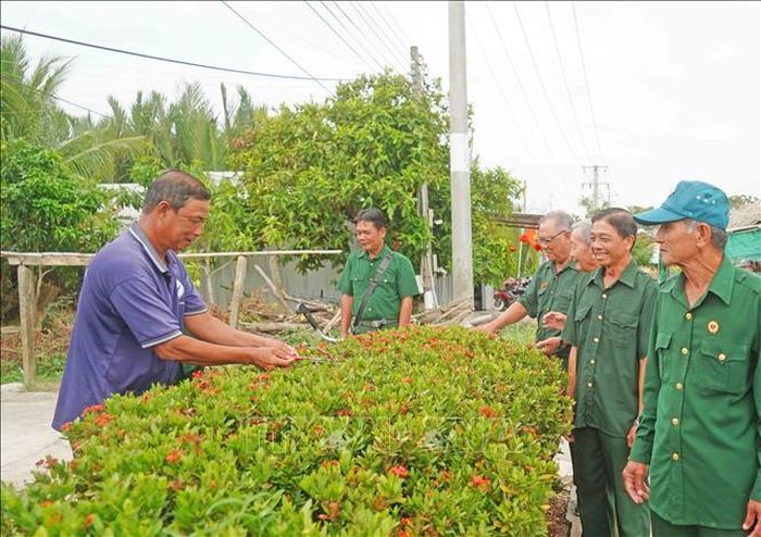 Các cựu chiến binh dọn dẹp vệ sinh, trồng hàng rào cây xanh ở các ngõ, xóm.