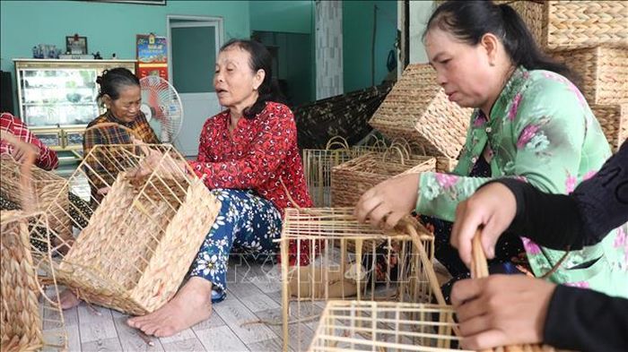 Tổ hợp tác đan lục bình ấp Thạnh Quới 1, xã Hỏa Lựu, thành phố Cần Thơ, tạo việc làm cho khoảng 200 lao động nữ.
