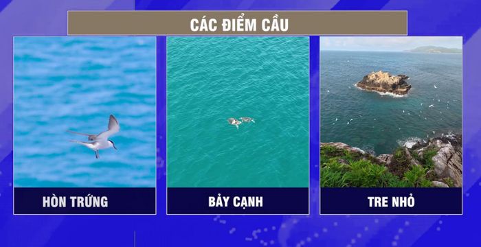 Các điểm cầu trực tiếp. Ảnh: VTV
