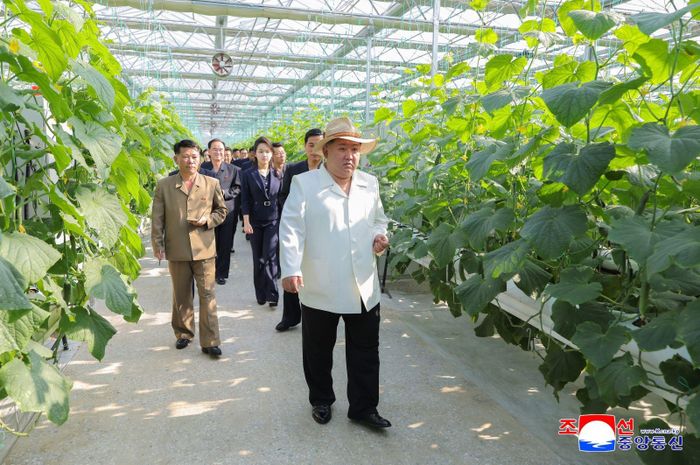 Nhà lãnh đạo Triều Tiên Kim Jong Un thị sát khu phức hợp nhà kính Sinuiju tại tỉnh Bắc Pyongan ngày 31/5/2026. Ảnh tư liệu: KCNA/TTXVN