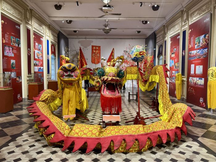 Trưng bày các chuyên đề về nghệ thuật biểu diễn Lân - Sư - Rồng và văn hóa của người Hoa khu vực Chợ Lớn tại Bảo tàng TP Hồ Chí Minh.