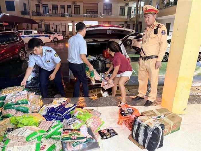 Số lượng lớn thực phẩm không rõ nguồn gốc, xuất xứ bị bắt giữ. Ảnh: TTXVN phát