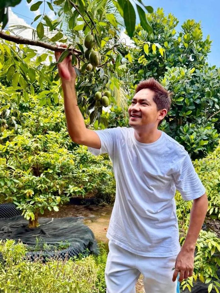 Cây cóc chỉ cao ngang đầu người nhưng cành nào cành nấy đều lúc lỉu quả, nhìn vô cùng thích mắt.