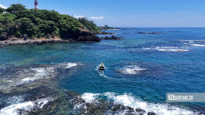 Đến khoảng giữa trưa, các ghe và thúng lần lượt cập bờ. Nhum sau khi thu hoạch được chuyển ngay đến khu vực sơ chế. Tại đây, nhiều phụ nữ địa phương đã chờ sẵn để tách lấy phần gạch và thịt nhum.