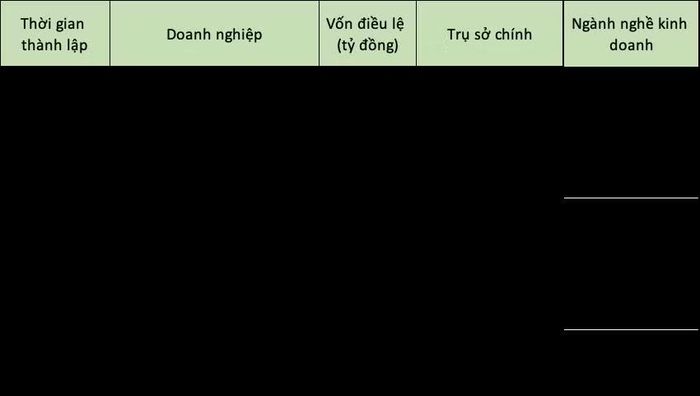 VinEnergo lập 5 công ty con trong tháng 5.