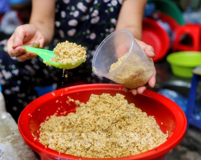 Rượu nếp trắng có giá từ 60.000 - 80.000 đồng/kg; còn rượu nếp cẩm có giá khoảng 100.000 đồng/kg. Ảnh: Tuấn Đức - TTXVN