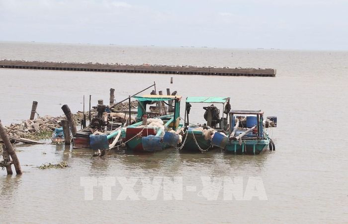 Tàu ngư dân khai thác ruốc chờ thương lái thu mua sau khi khai thác trở về. Ảnh: Tuấn Phi - TTXVN