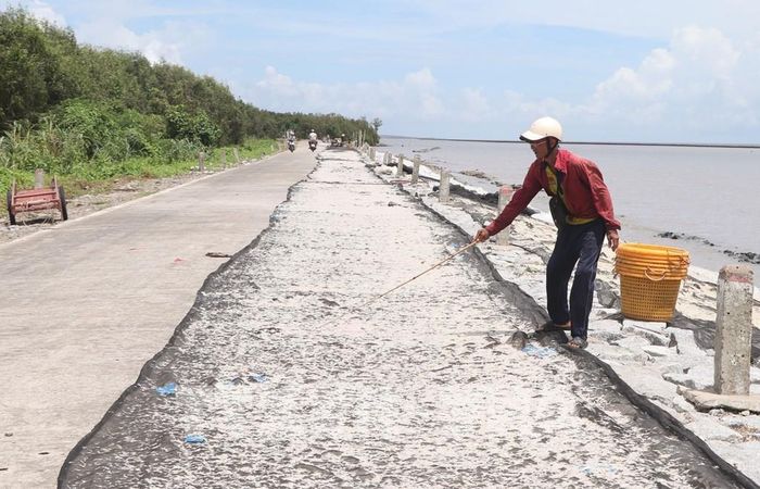 Con ruốc sau khi được khai thác sẽ được ngư dân phơi nắng, sơ chế. Ảnh: Tuấn Phi - TTXVN