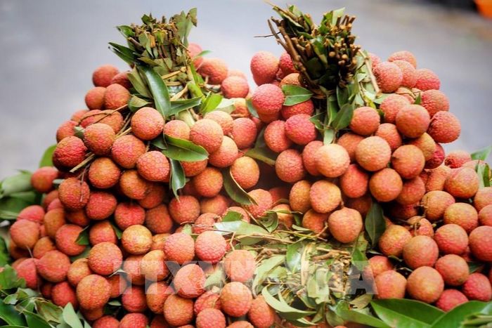 Các loại hoa quả như mận, vải được người dân mua nhiều để cúng bởi theo quan niệm xưa, các loại quả này có chức năng diệt sâu bọ tốt. Ảnh: Tuấn Đức - TTXVN