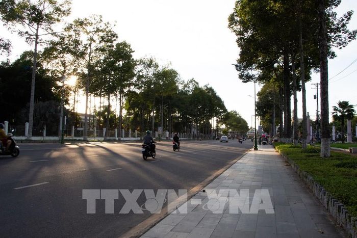 Cây xanh đô thị trên tuyến đường Lý Thường Kiệt (phường Cao Lãnh). Ảnh: Hồng Thái - TTXVN