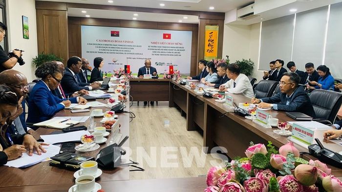 Chiều 16/6, tại Hà Nội, Đoàn công tác của Bộ Nông nghiệp và Lâm nghiệp Angola do Bộ trưởng Isaac Francisco Maria dos Anjos dẫn đầu đã đến thăm và làm việc với Trung tâm Khuyến nông quốc gia (Bộ Nông nghiệp và Môi trường). Ảnh: Hằng Trần/Bnews/TTXVN