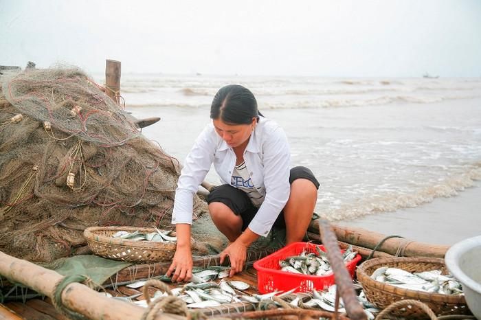 Ngư dân Nghệ An 