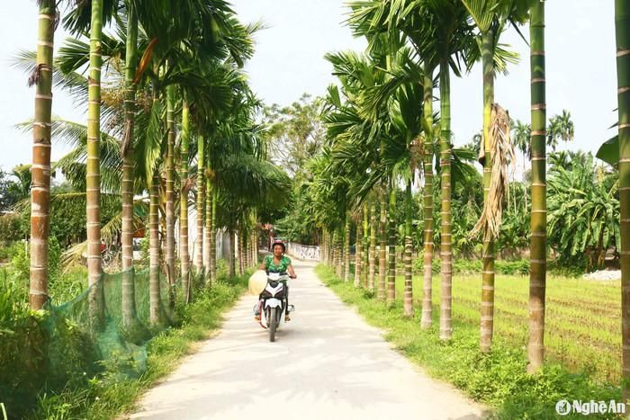 Khung cảnh đường làng yên bình ở xứ Nghệ. Ảnh: báo Nghệ An