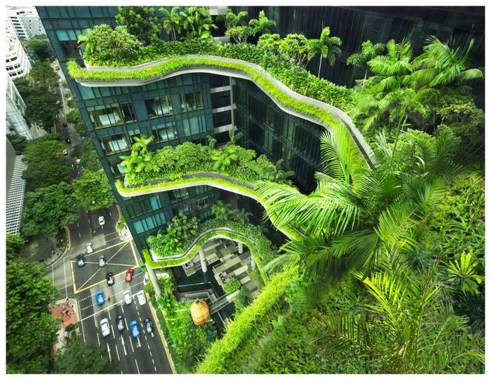Singapore đang đứng đầu danh sách đất nước sở hữu số cây xanh tại các khu đô thị nhiều nhất trên thế giới. (Nguồn: AFP)