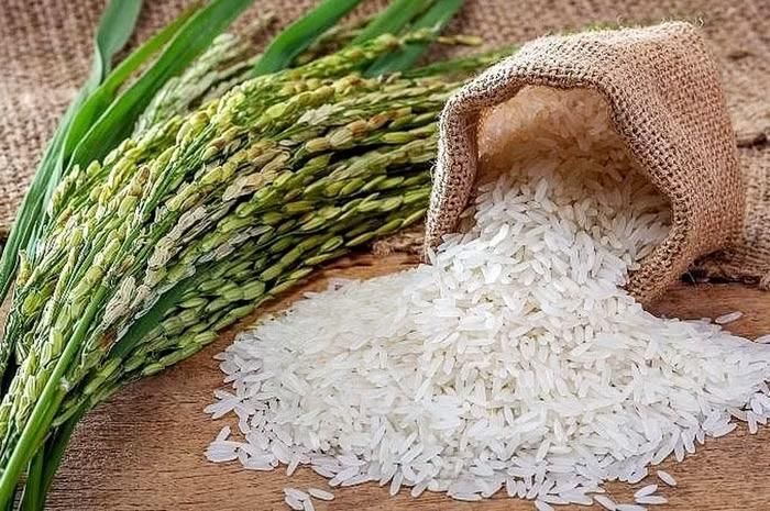 Giá lúa gạo hôm nay tại khu vực Đồng bằng sông Cửu Long ít biến động