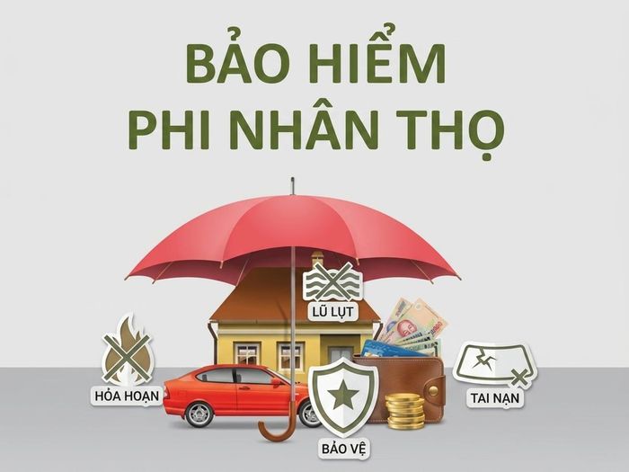 Tại Việt Nam, bảo hiểm phi nhân thọ bao gồm nhiều sản phẩm khác nhau