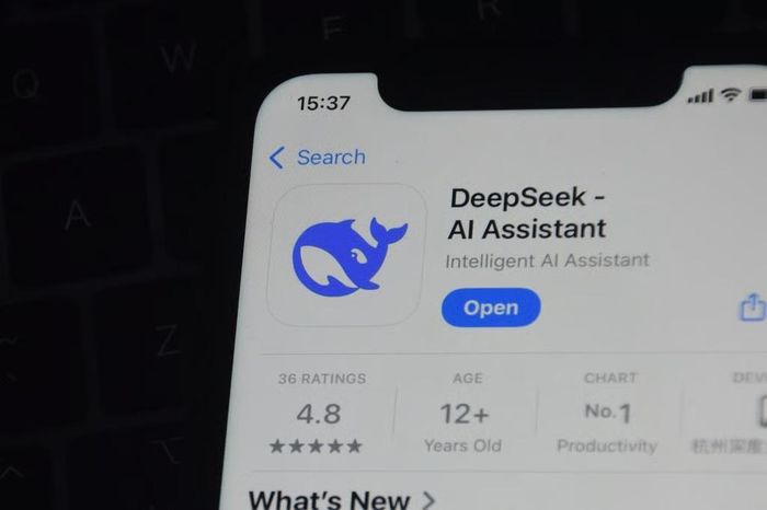 DeepSeek là cái tên nổi lên mạnh mẽ trong năm qua nhờ các mô hình AI hiệu quả về chi phí