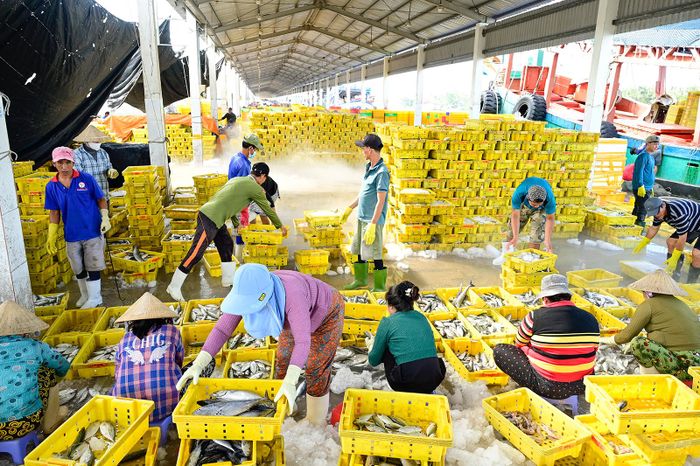 Công nhân làm việc tại cảng cá Tắc Cậu, xã Bình An. Ảnh: PHẠM HIẾU