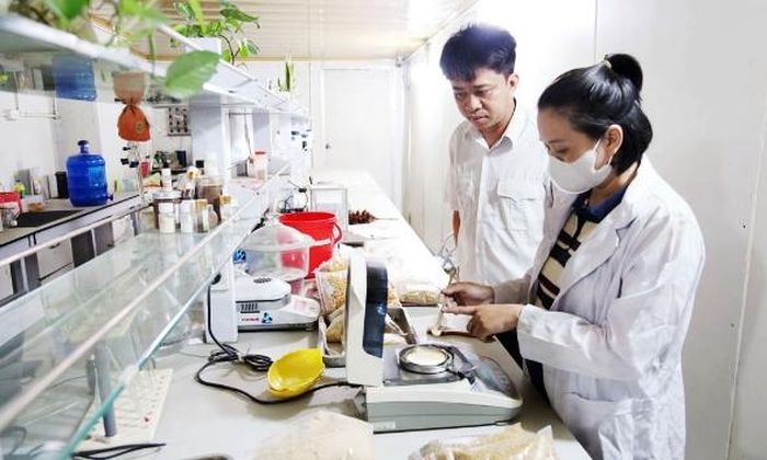 Cán bộ Chi cục Chăn nuôi, Thú y và Thủy sản tỉnh kiểm tra quy trình lấy mẫu thức ăn chăn nuôi của Công ty cổ phần Dinh dưỡng Hải Thịnh.