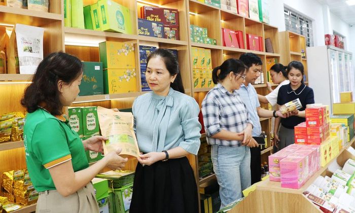  Cán bộ Trung tâm Hỗ trợ phát triển hợp tác xã (Liên minh Hợp tác xã tỉnh) giới thiệu các sản phẩm OCOP có in mã QR, mã vạch giúp người tiêu dùng truy xuất nguồn gốc. 