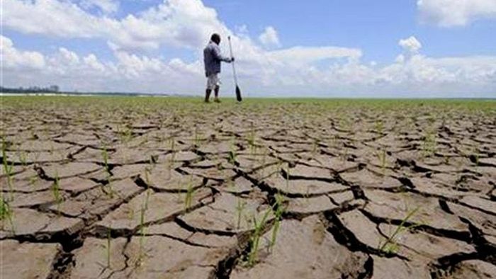 Hiện tượng El Nino gây suy giảm lượng mưa và tăng nền nhiệt độ, khiến cánh đồng khô hạn trầm trọng. Ảnh: Reuters