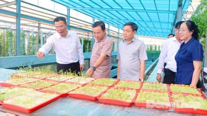 Đồng chí Phan Văn Thắng khảo sát "Trạm Khí canh" tại Nông trại Suối Gạo.