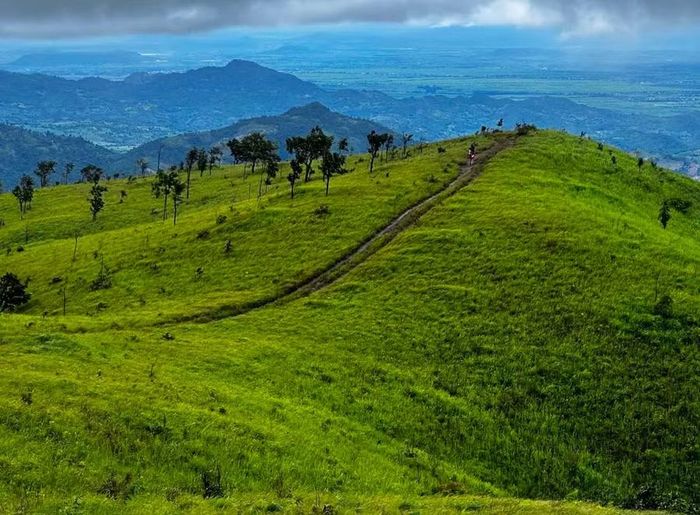 Khu vực rừng giáp ranh giữa Gia Lai và Đắk Lắk (thuộc địa bàn xã Ia Rbol) - nơi xảy ra án mạng. Ảnh: Văn Ngọc