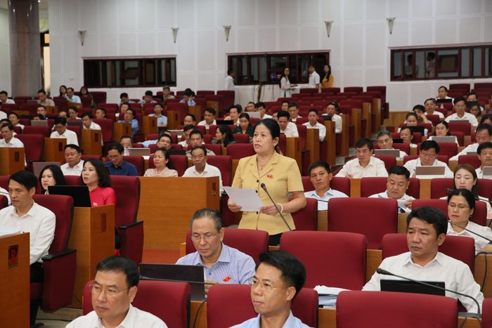 Đại biểu HĐND tỉnh Vương Đào Tiên - Tổ đại biểu số 3 thảo luận tại hội trường.