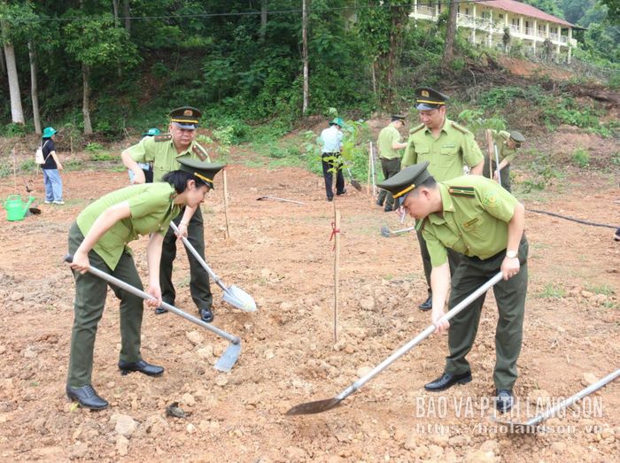 Cán bộ kiểm lâm trồng cây tại khuôn viên Trường Cao đẳng Công nghệ và Nông lâm Đông Bắc