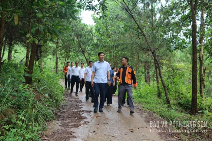 Đồng chí Phó Bí thư Tỉnh ủy và đoàn công tác khảo sát thực tế tại thôn Hòa Bình, xã Xuân Dương