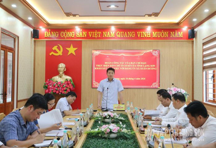 Đồng chí Vũ Hoàng Anh, Phó Bí thư Tỉnh ủy, Trưởng Ban Chỉ đạo phát biểu tại buổi làm việc