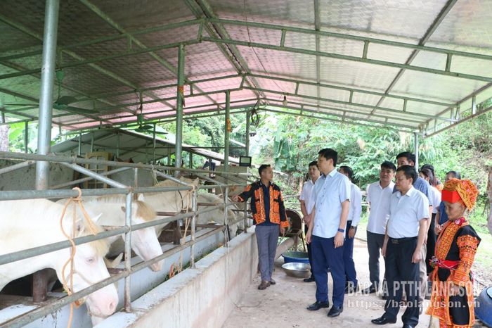Đoàn công tác thăm mô hình phát triển kinh tế tiêu biểu trên địa bàn xã