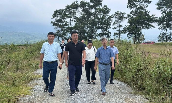 Đoàn công tác phường Trung Tâm kiểm tra thực tế cung đường dự kiến tổ chức Giải Vô địch xe đạp đường trường và địa hình các Câu lạc bộ quốc gia năm 2026.