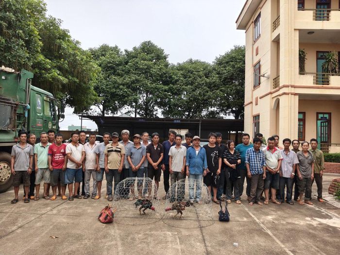 31 đối tượng bị cơ quan Công an bắt giữ.