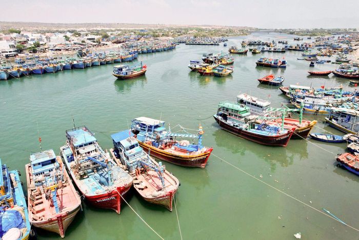 Nhiều chủ tàu ở các vùng biển tỉnh Lâm Đồng đang khẩn trương “thay áo mới” cho tàu theo quy định