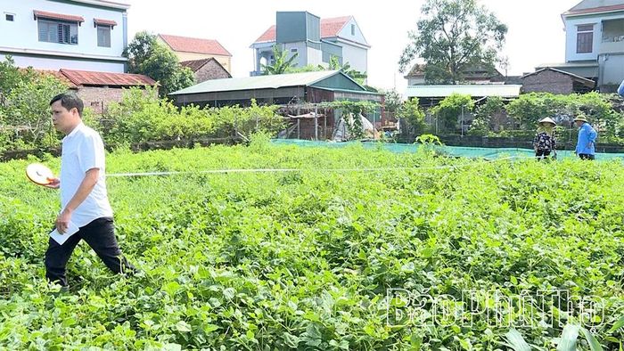 Cơ quan chuyên môn xác định mốc giới thửa đất của ông Mai Viết Vy.