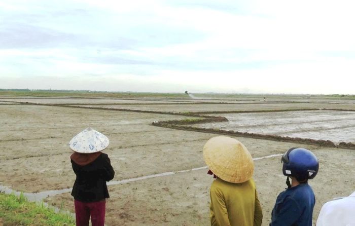 Nông dân xã Diên Sanh phấn khởi khi chứng kiến thiết bị Drone phun thuốc bảo vệ thực vật trên đồng ruộng - Ảnh: Đ.V