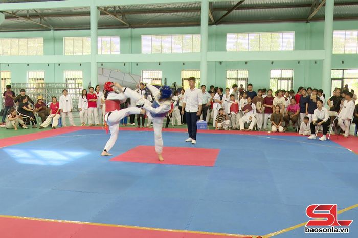 Một trận thi đấu tại giải
