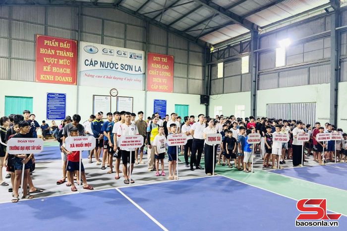 Các vận động viên tham gia giải bơi.