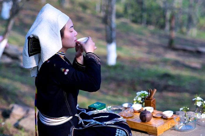 Khách du lịch thưởng thức chè Shan tuyết giữa không gian của núi rừng hùng vĩ.